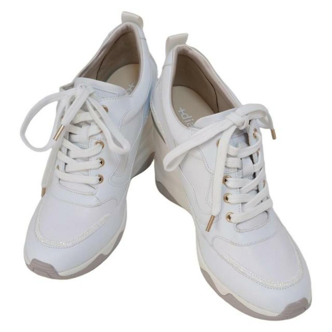 DIANA - DIANA(ダイアナ) スニーカー 25 レディース美品 DIANA - DIANA(ダイアナ) スニーカー 25 レディース美品