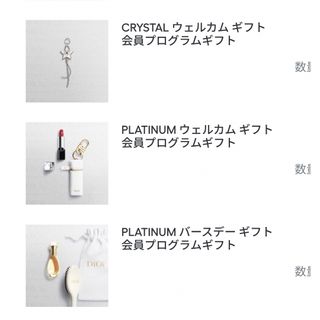 Christian Dior - 新品☆Dior シルバー会員 ブレスレット 2023 Christian Dior - 新品☆Dior シルバー会員 ブレスレット 2023