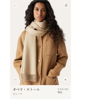 Loro Piana(ストール/パシュミナ)のフリマアイテム一覧 Loro Piana(ストール/パシュミナ)のフリマアイテム一覧