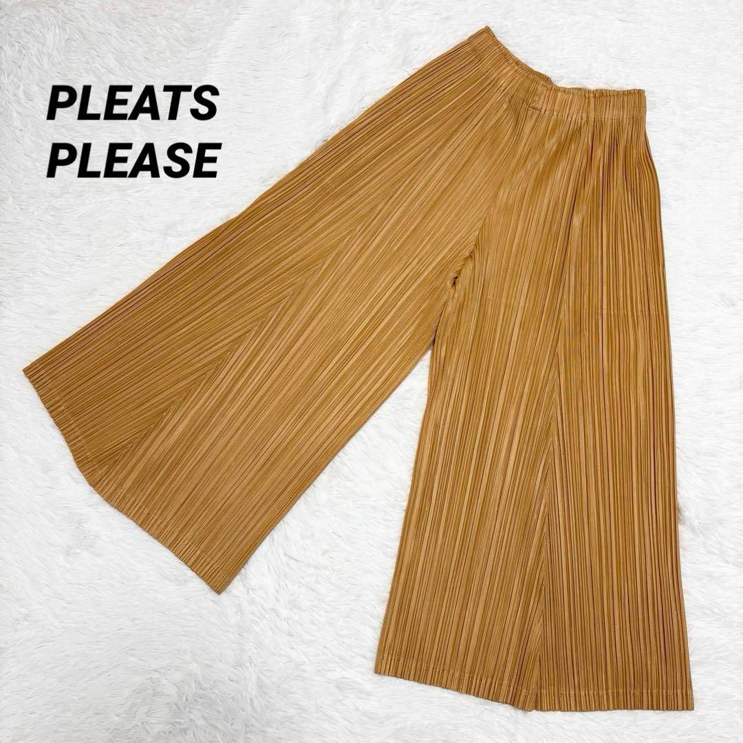PLEATS PLEASE ISSEY MIYAKE - 美品 近年モデル プリーツ PLEATS PLEASE ISSEY MIYAKE - 美品 近年モデル プリーツ