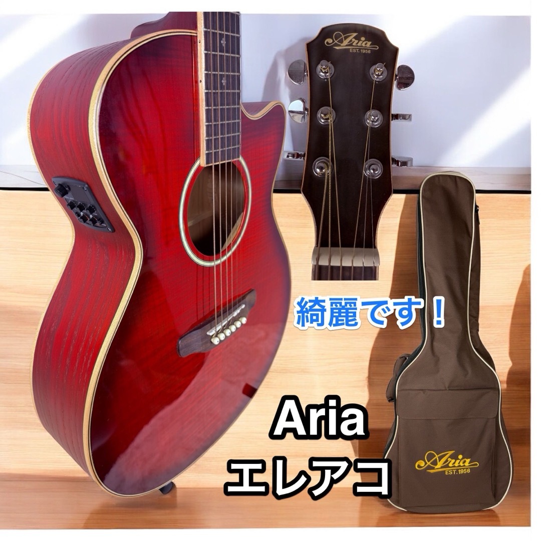 Aria - Aria FET-01FX SR エレアコ エフェクター チューナー内蔵 Aria - Aria FET-01FX SR エレアコ エフェクター チューナー内蔵