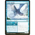 【FOIL】マジックザギャザリング TDM JP 0040 ダルガー島の龍 (日本語版 コモン) タルキール:龍嵐録 (MTG)