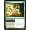 【FOIL】マジックザギャザリング TDM JP 0178 破壊の嵐孵り (日本語版 アンコモン) タルキール:龍嵐録 (MTG)