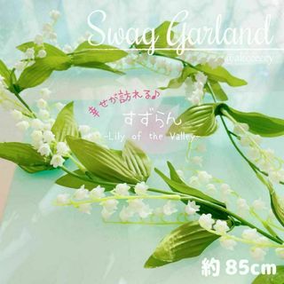 ①ゴロゴロ大きな!多肉植物カット苗セット ゆうパケットポスト ①ゴロゴロ大きな!多肉植物カット苗セット ゆうパケットポスト