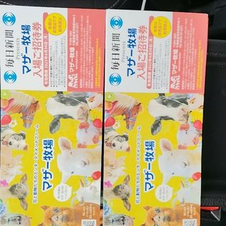 マザー牧場　招待券　2枚　有効期限2025年6月30日(遊園地/テーマパーク)