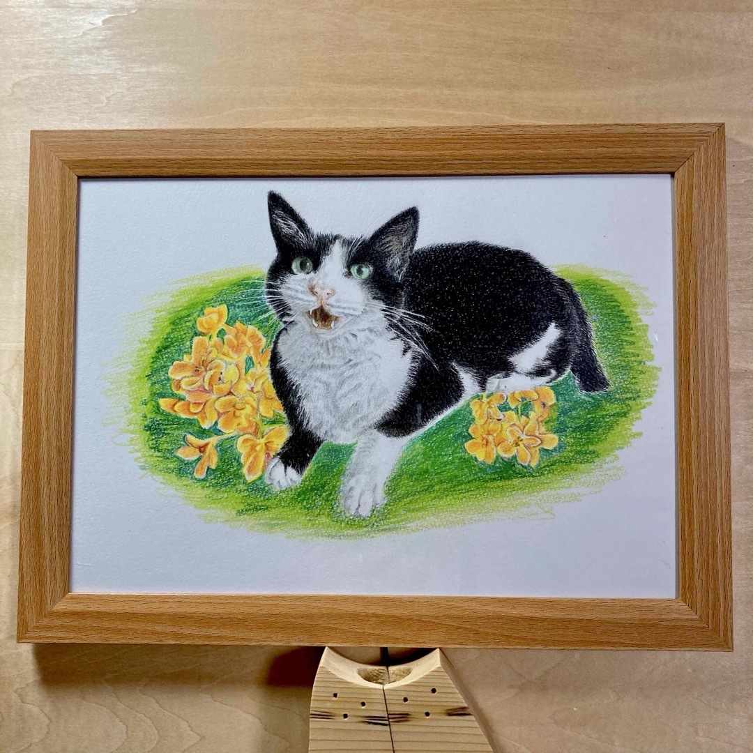 色鉛筆画 白黒 ハチワレ猫の通販 by くーちゃんママ's shop|ラクマ 色鉛筆画 白黒 ハチワレ猫の通販 by くーちゃんママ's shop|ラクマ