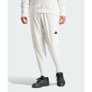 【格安saleスタート】 アークテリクス 未使用 ARCTERYX パンツ ベータ Pant Beta Mサイズ