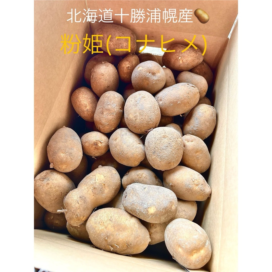 Ａ１３９様分　コナヒメ10kg.人参10kgセット