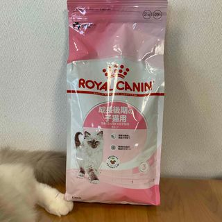 ROYAL CANIN - 【新品送料無料】ロイヤルカナン 子猫用ニュー ROYAL CANIN - 【新品送料無料】ロイヤルカナン 子猫用ニュー