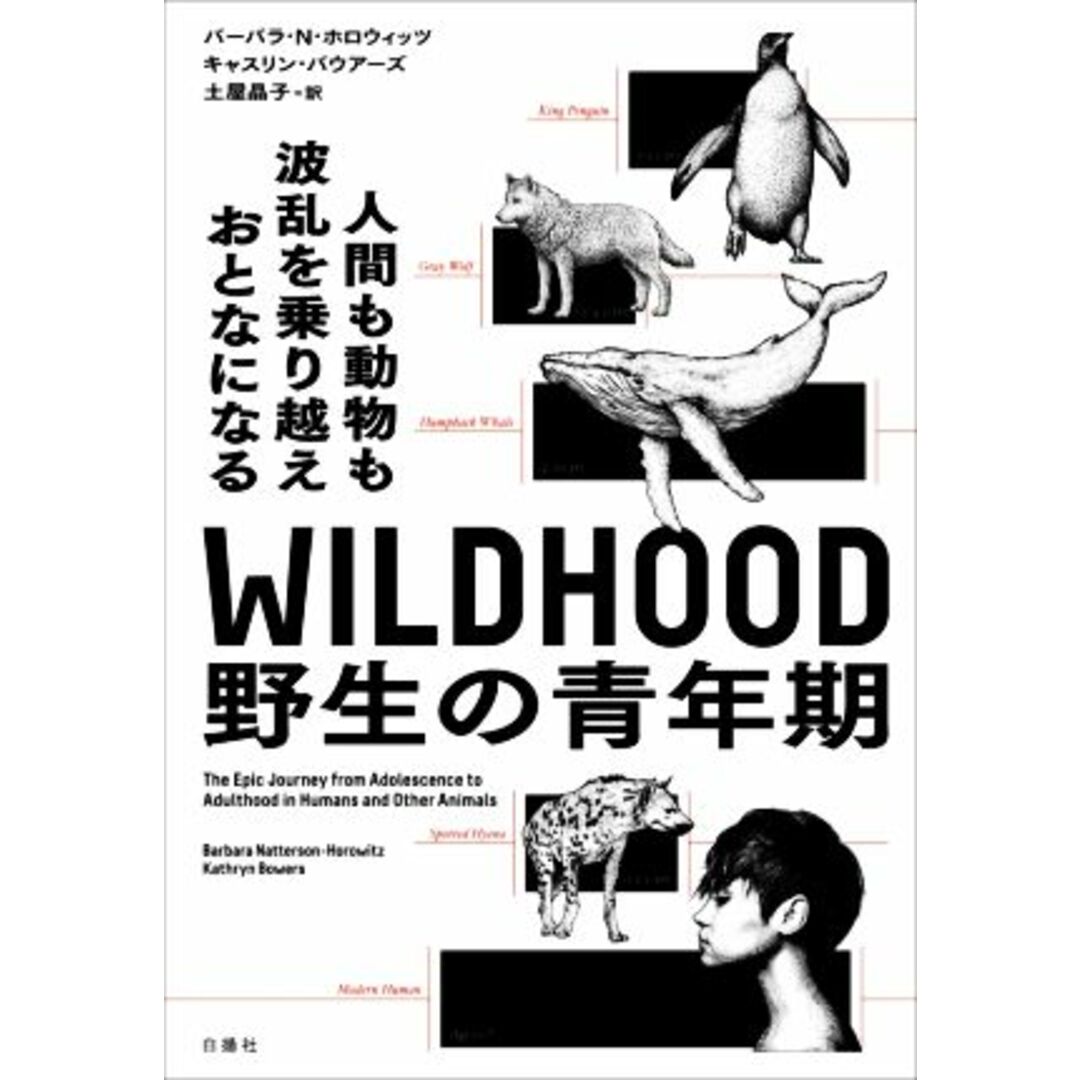 WILDHOOD 野生の青年期 人間も動物も波乱を乗り越えおとなになる/バーバラ・N.ホロウィッツ(著者),キャスリン・バウアーズ(著者),土屋晶子(訳者) エンタメ/ホビーの本(科学/技術)の商品写真