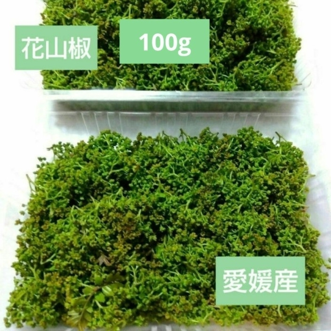 新鮮 花山椒 無農薬 100g 🌿の通販 by ˚˖ ݁☘︎.MikanOrganic 新鮮 花山椒 無農薬 100g 🌿の通販 by ˚˖ ݁☘︎.MikanOrganic
