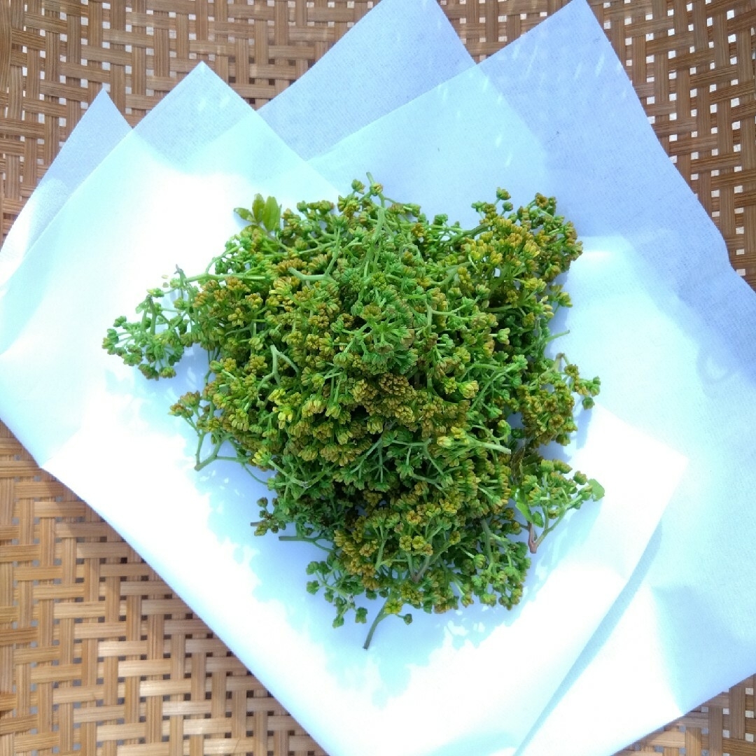 新鮮 花山椒 無農薬 100g 🌿の通販 by ˚˖ ݁☘︎.MikanOrganic 新鮮 花山椒 無農薬 100g 🌿の通販 by ˚˖ ݁☘︎.MikanOrganic