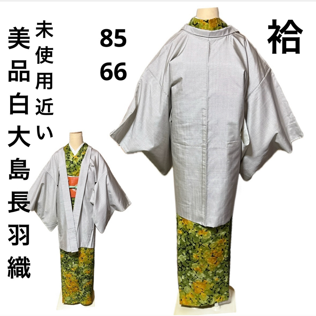 未使用近い 美品 白大島 長羽織 裄丈66 大島紬 身丈85 袷の通販 未使用近い 美品 白大島 長羽織 裄丈66 大島紬 身丈85 袷の通販