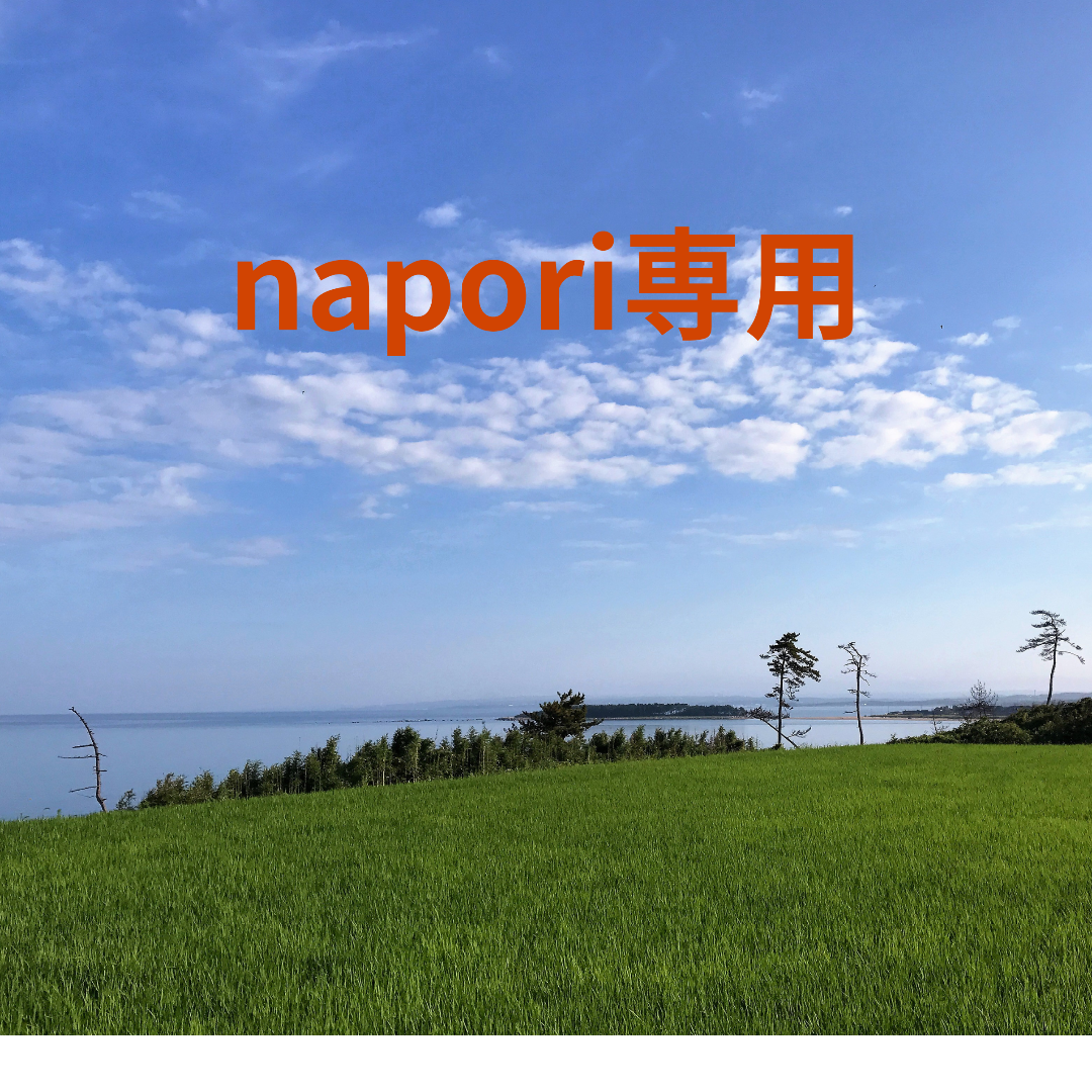 napori/石川県能登産こしひかり