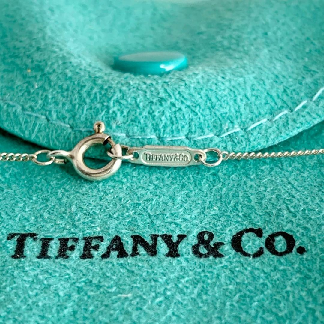 Tiffany & Co. - オールドティファニー ペンギン ネックレス Tiffany & Co. - オールドティファニー ペンギン ネックレス