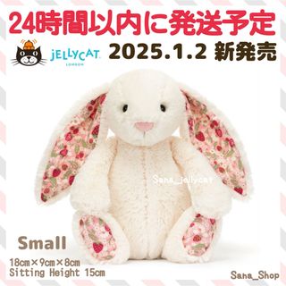 JELLY CAT - 新作 新品 ジェリーキャット バニー うさぎ いちご JELLY CAT - 新作 新品 ジェリーキャット バニー うさぎ いちご