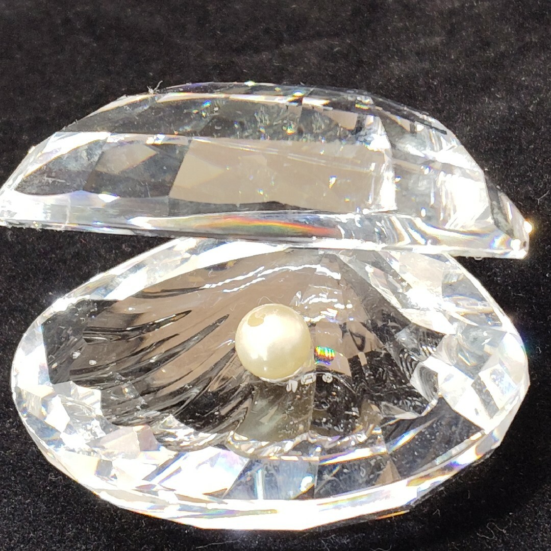 SWAROVSKI - SWAROVSKI スワロフスキー 貝 クリスタル シェル SWAROVSKI - SWAROVSKI スワロフスキー 貝 クリスタル シェル