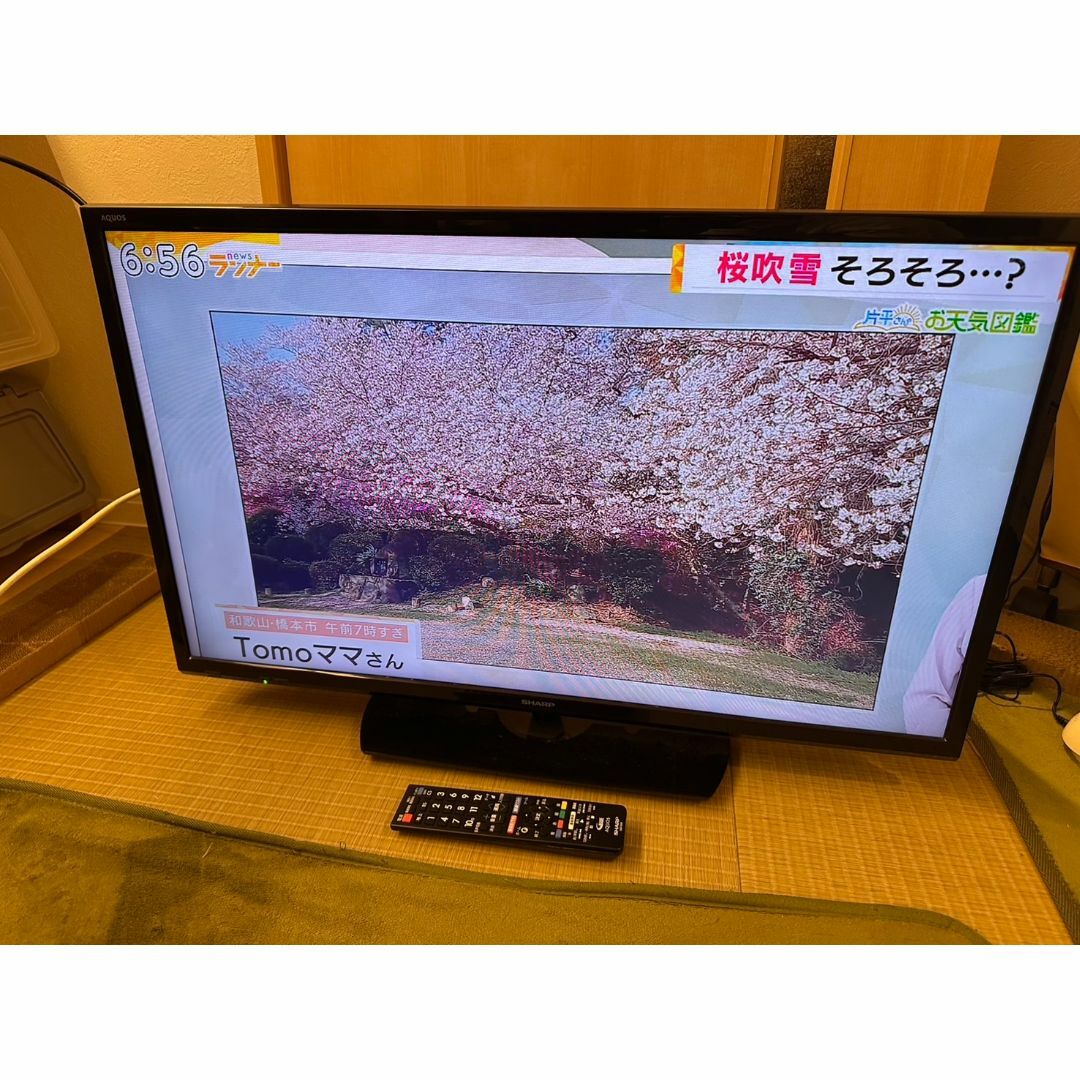 SHARP - SHARP シャープ 32型 テレビ 2T-C32AE1 2021年製 超美品 SHARP - SHARP シャープ 32型 テレビ 2T-C32AE1 2021年製 超美品