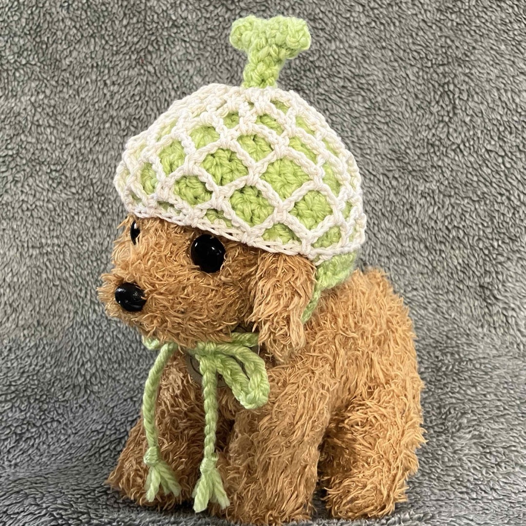 メロンの帽子🍈小型犬用帽子・猫用帽子🍈ハンドメイド ハンドメイドのペット(ペット服/アクセサリー)の商品写真
