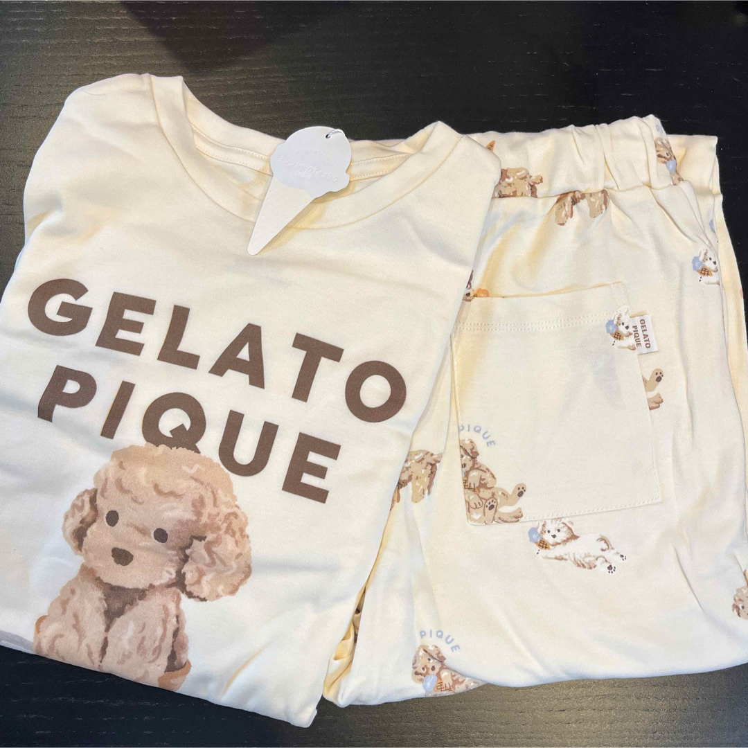 gelato pique - 【新品】 ジェラートピケ トイプードル アイス gelato pique - 【新品】 ジェラートピケ トイプードル アイス