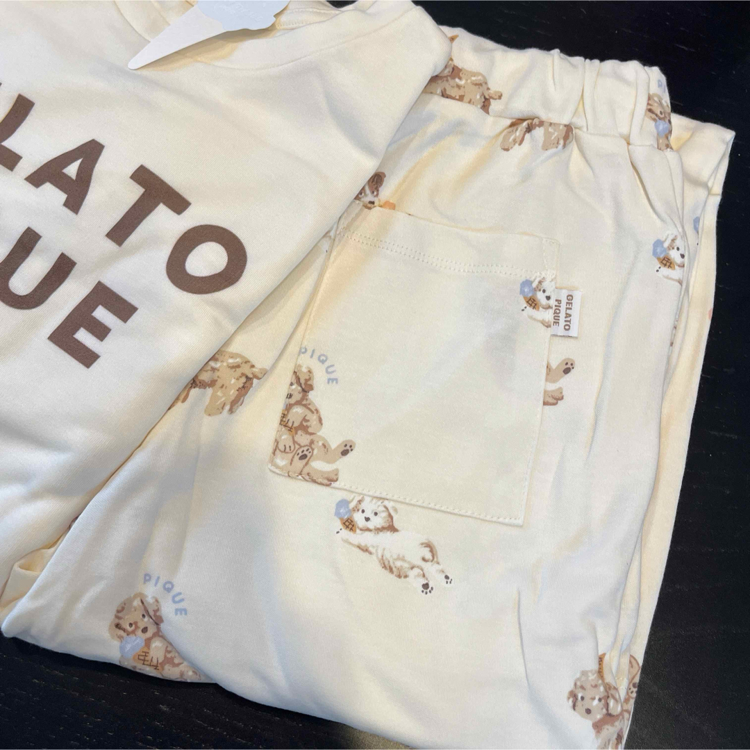 gelato pique - 【新品】 ジェラートピケ トイプードル アイス gelato pique - 【新品】 ジェラートピケ トイプードル アイス