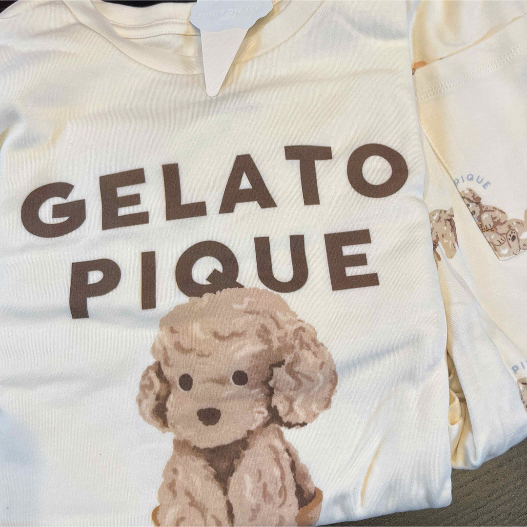 gelato pique - 【新品】 ジェラートピケ トイプードル アイス gelato pique - 【新品】 ジェラートピケ トイプードル アイス