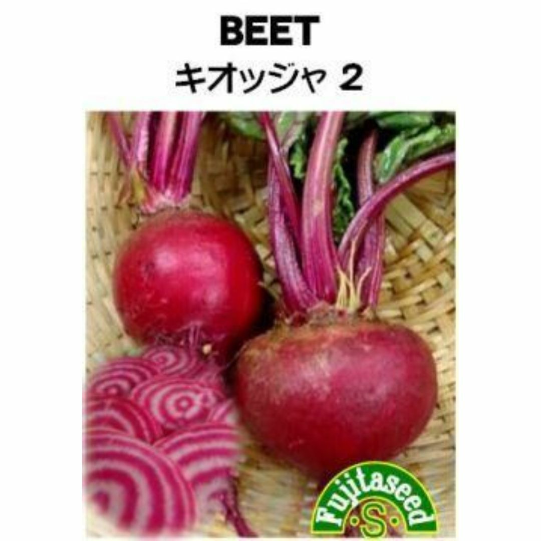 <野菜の種>ビーツ キオッジャ2 2ml(約70粒) うずまき模様 ハンドメイドのフラワー/ガーデン(プランター)の商品写真