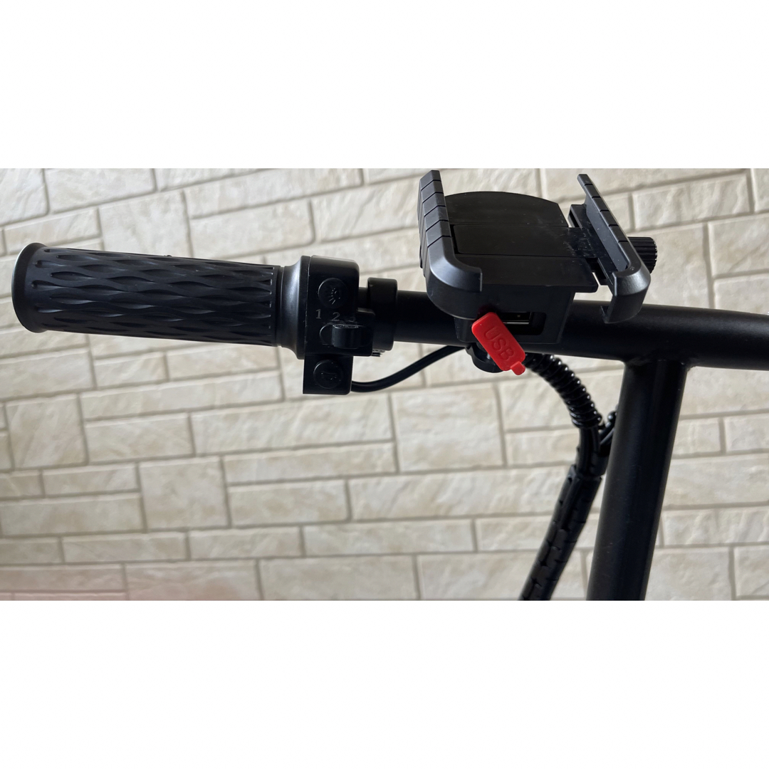 フル電動自転車 48V/8ah アクセル付 カゴ付 ひねちゃ モペットの フル電動自転車 48V/8ah アクセル付 カゴ付 ひねちゃ モペットの