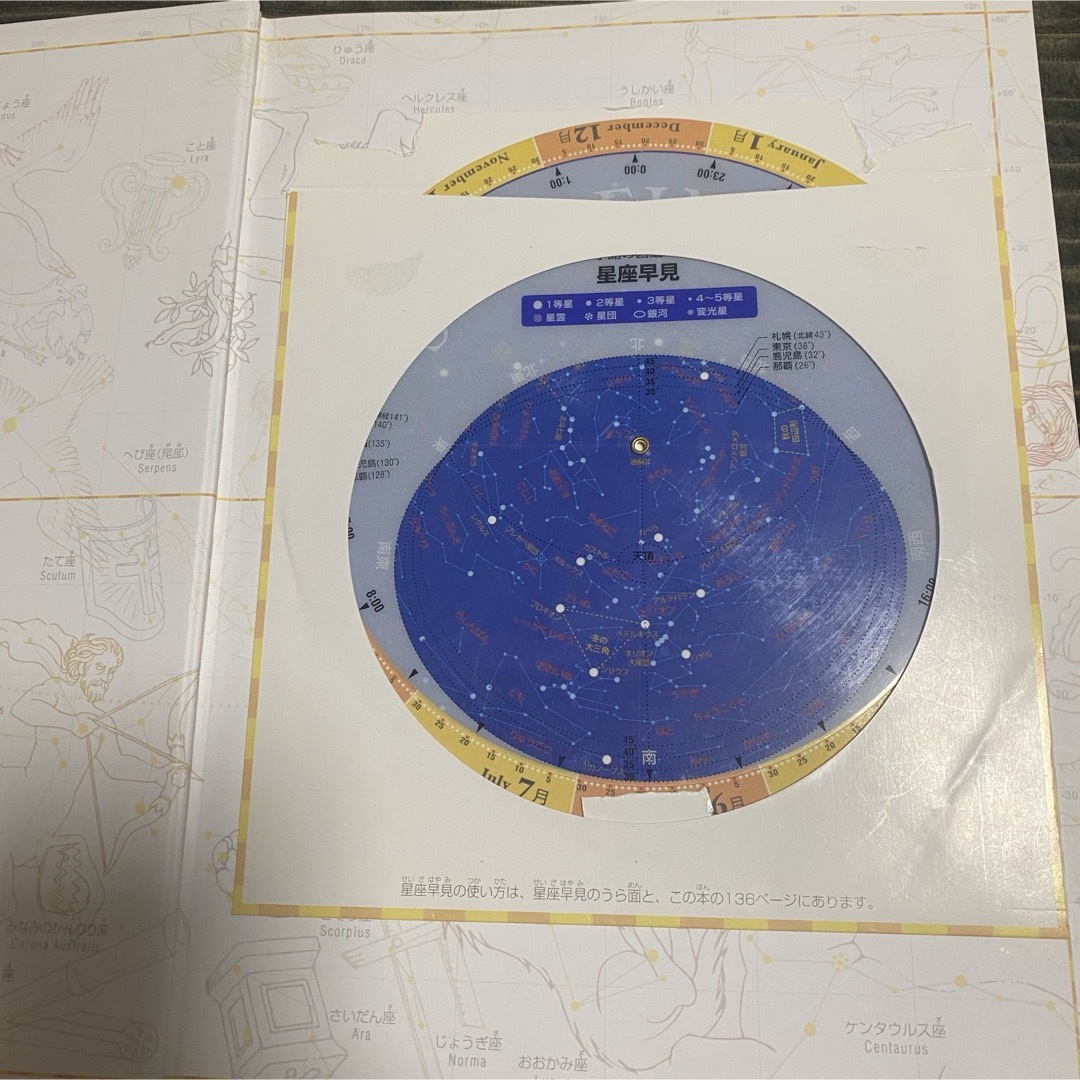 小学館 - 【計17冊セット】小学館の図鑑neo 講談社の動く図鑑 小学館 - 【計17冊セット】小学館の図鑑neo 講談社の動く図鑑
