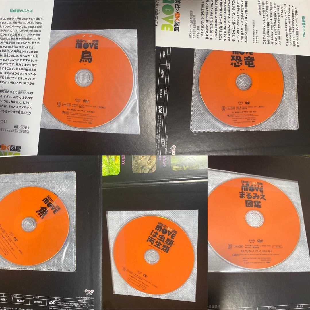 小学館 - 【計17冊セット】小学館の図鑑neo 講談社の動く図鑑 小学館 - 【計17冊セット】小学館の図鑑neo 講談社の動く図鑑