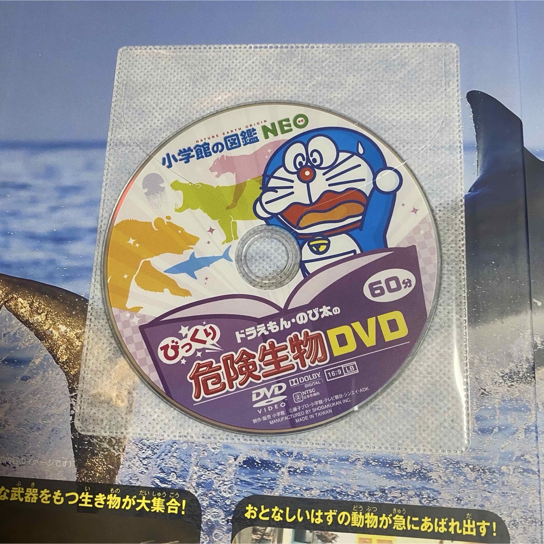 小学館 - 【計17冊セット】小学館の図鑑neo 講談社の動く図鑑 小学館 - 【計17冊セット】小学館の図鑑neo 講談社の動く図鑑