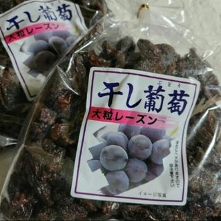 キウイ 国産 ハネダシ サイズ混合 5キロ以上 追熟未処理品の通販 キウイ 国産 ハネダシ サイズ混合 5キロ以上 追熟未処理品の通販