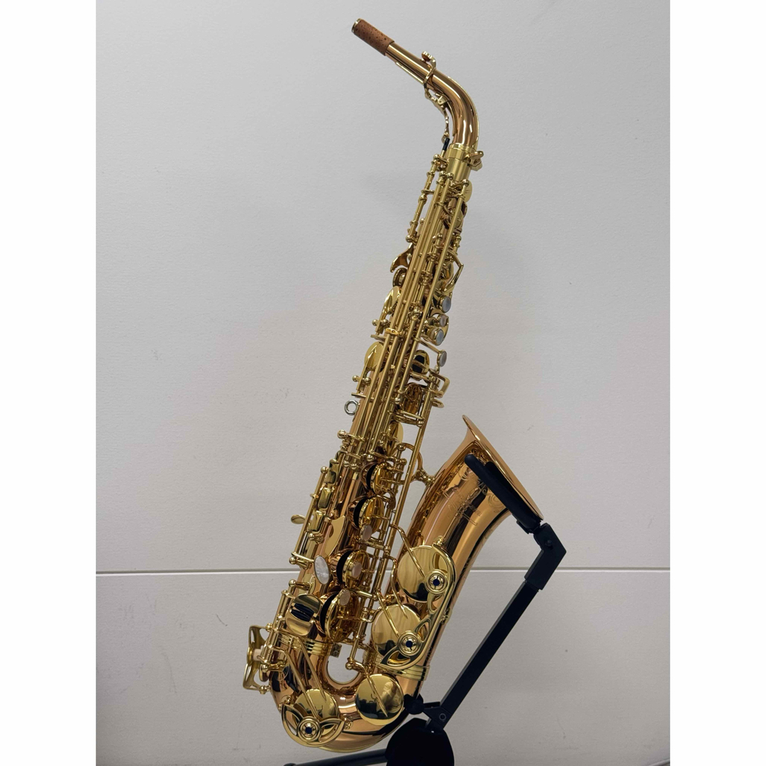 美品】YANAGISAWA A-WO20 アルトサックス(ブロンズブラス)の 美品】YANAGISAWA A-WO20 アルトサックス(ブロンズブラス)の