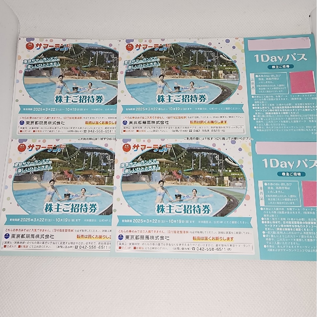東京競馬場 株主優待 サマーランド招待券 大井競馬場入場券 匿名 東京競馬場 株主優待 サマーランド招待券 大井競馬場入場券 匿名