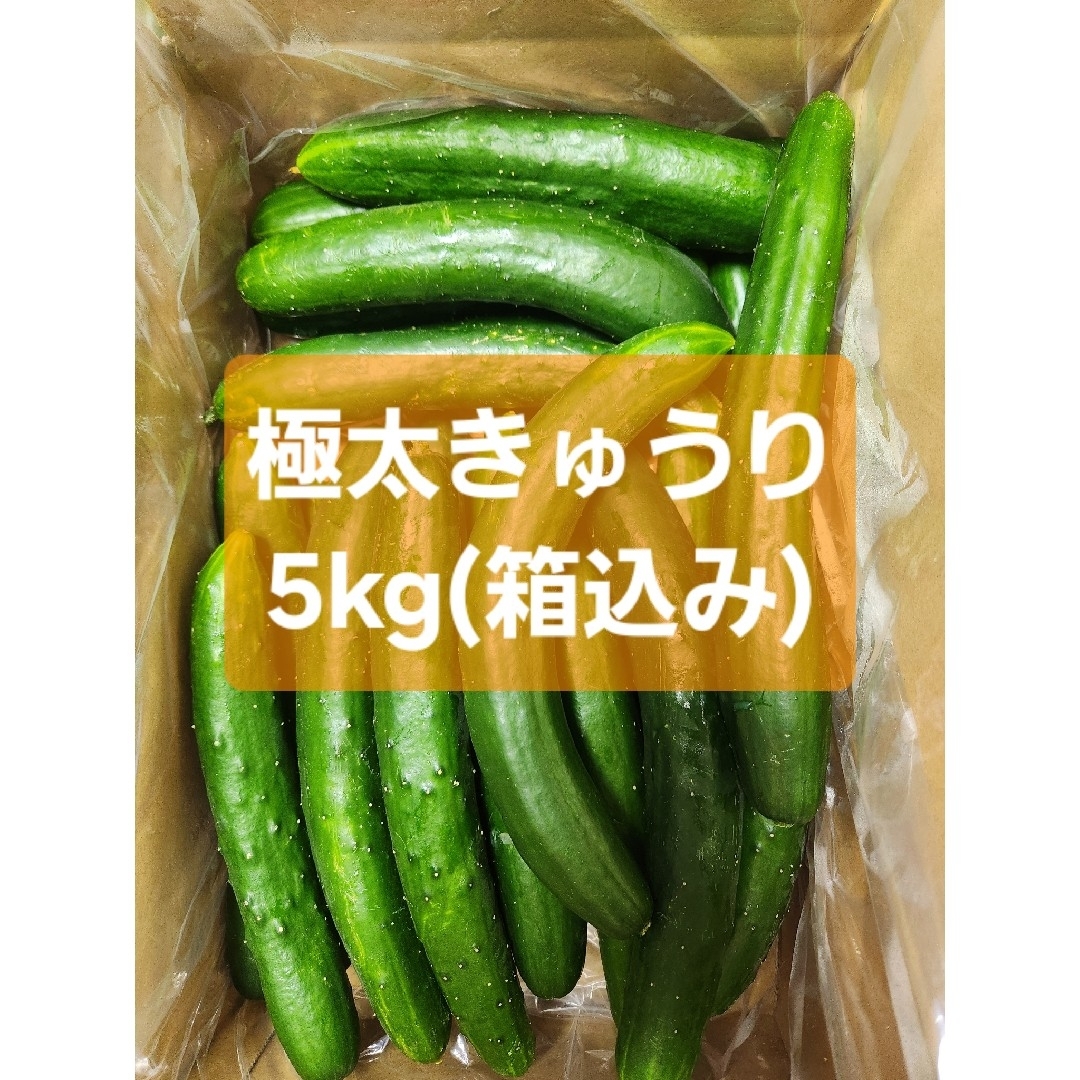 極太きゅうり5kg】農家直送!新鮮キュウリの通販 by 新鮮 極太きゅうり5kg】農家直送!新鮮キュウリの通販 by 新鮮