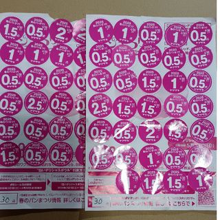 A314 九谷焼 井出製 三毛猫 金彩 雲錦 牡丹蝶紋様 鉢 大 1客の A314 九谷焼 井出製 三毛猫 金彩 雲錦 牡丹蝶紋様 鉢 大 1客の