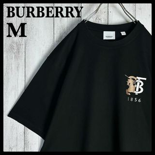 BURBERRY(Tシャツ/カットソー(半袖/袖なし))のフリマアイテム一覧 BURBERRY(Tシャツ/カットソー(半袖/袖なし))のフリマアイテム一覧