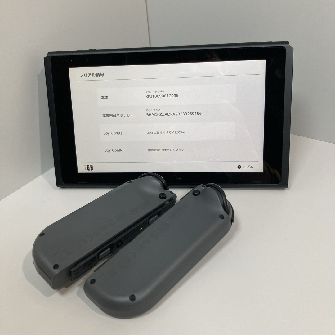 Nintendo Switch - Nintendo Switch Joy-Con(L)/(R) グレー 動作 Nintendo Switch - Nintendo Switch Joy-Con(L)/(R) グレー 動作