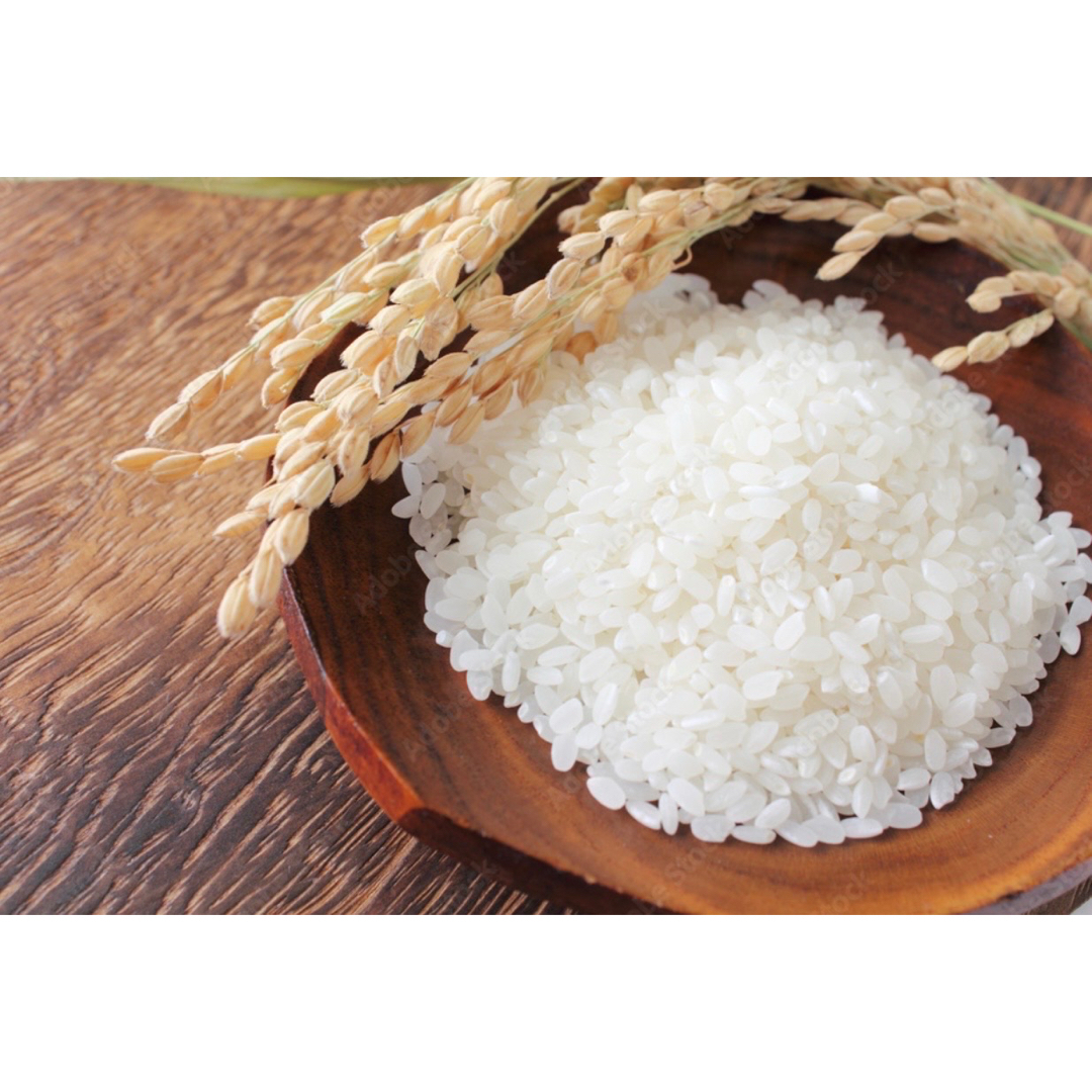 お米　白米【岩手県産銀河のしずく10kg】5kg×2   7年連続特A評価！