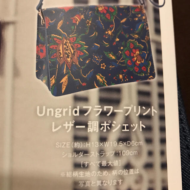 Ungrid(アングリッド)のUngrid 付録 ポシェット レディースのバッグ(ショルダーバッグ)の商品写真