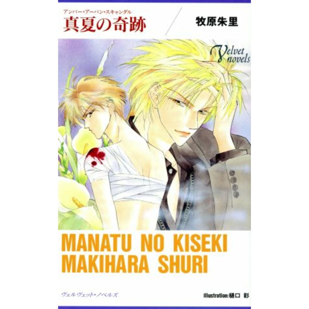 真夏の奇跡 アンバー・アーバン・スキャンダル ヴェルヴェット・ノベルズ/牧原朱里(著者) エンタメ/ホビーの本(文学/小説)の商品写真