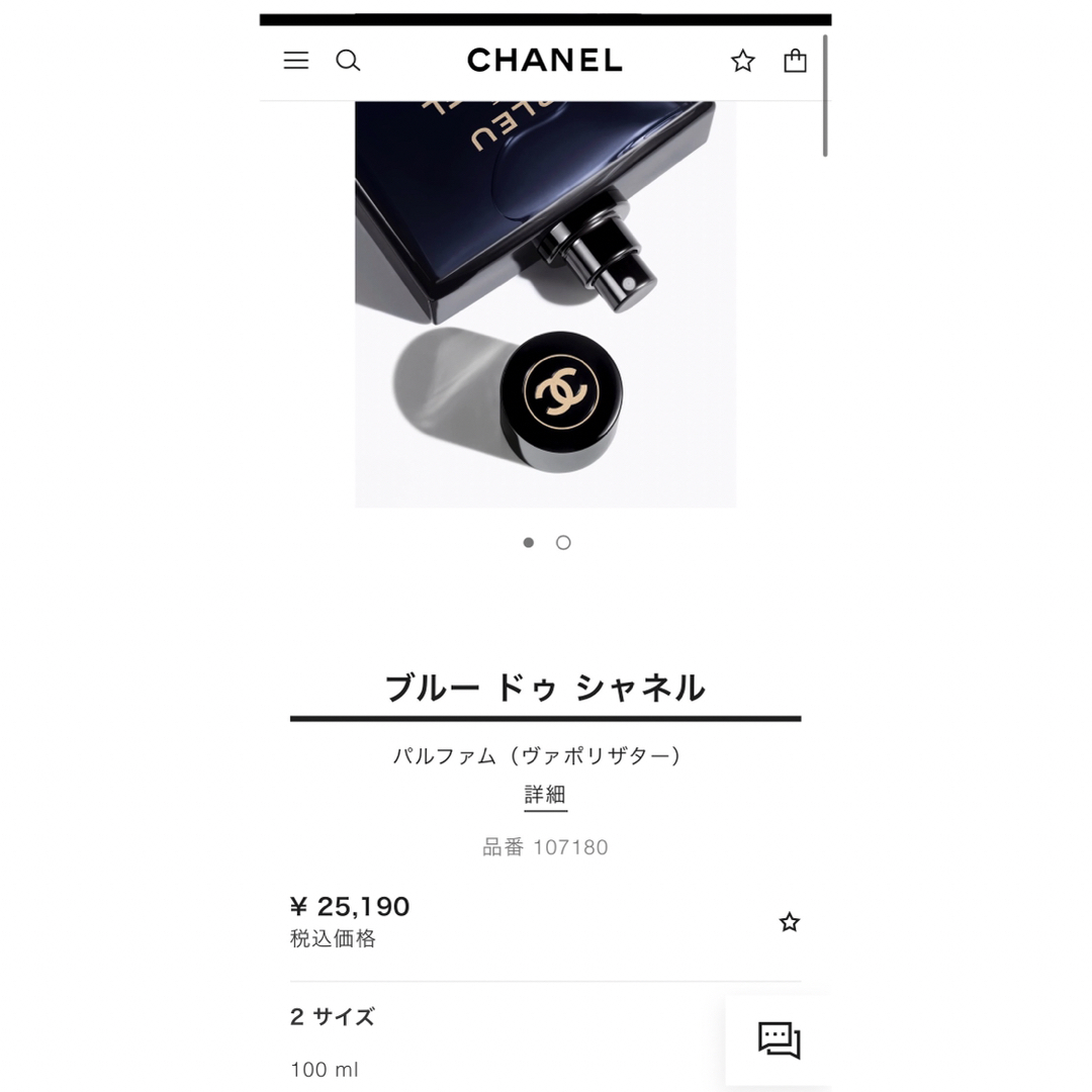 CHANEL - ブルードゥシャネル パルファム プールオム 100mlの CHANEL - ブルードゥシャネル パルファム プールオム 100mlの