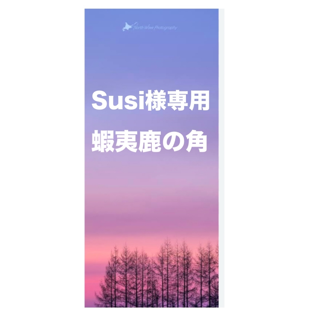 鹿の角 鹿のツノ 鹿角 鹿ツノ 蝦夷鹿 角 ハンドメイド クラフト 鹿の角 鹿のツノ 鹿角 鹿ツノ 蝦夷鹿 角 ハンドメイド クラフト