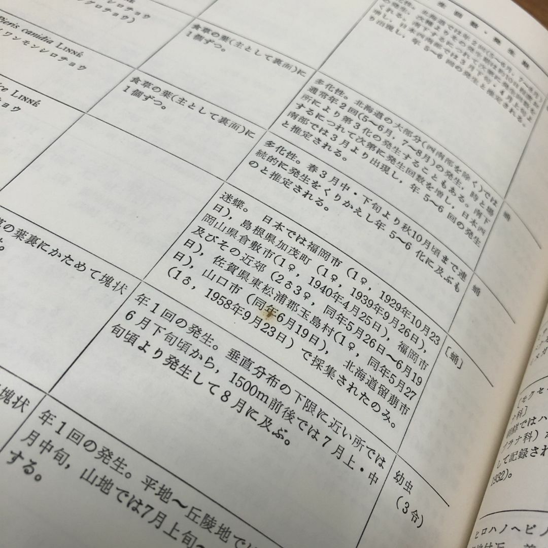 △01)【同梱不可】原色日本蝶類幼虫大図鑑 Vol.I/Vol.1/白水隆 △01)【同梱不可】原色日本蝶類幼虫大図鑑 Vol.I/Vol.1/白水隆