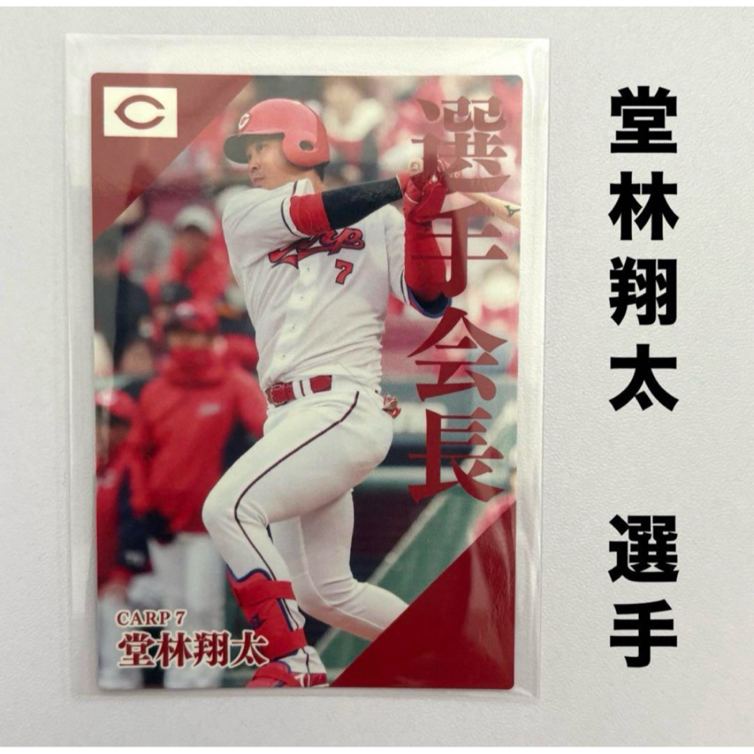 広島東洋カープ - 広島東洋カープ 堂林翔太 プロ野球チップス 広島東洋カープ - 広島東洋カープ 堂林翔太 プロ野球チップス
