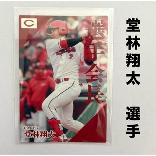 広島東洋カープ - 広島東洋カープ 堂林翔太 プロ野球チップス 広島東洋カープ - 広島東洋カープ 堂林翔太 プロ野球チップス