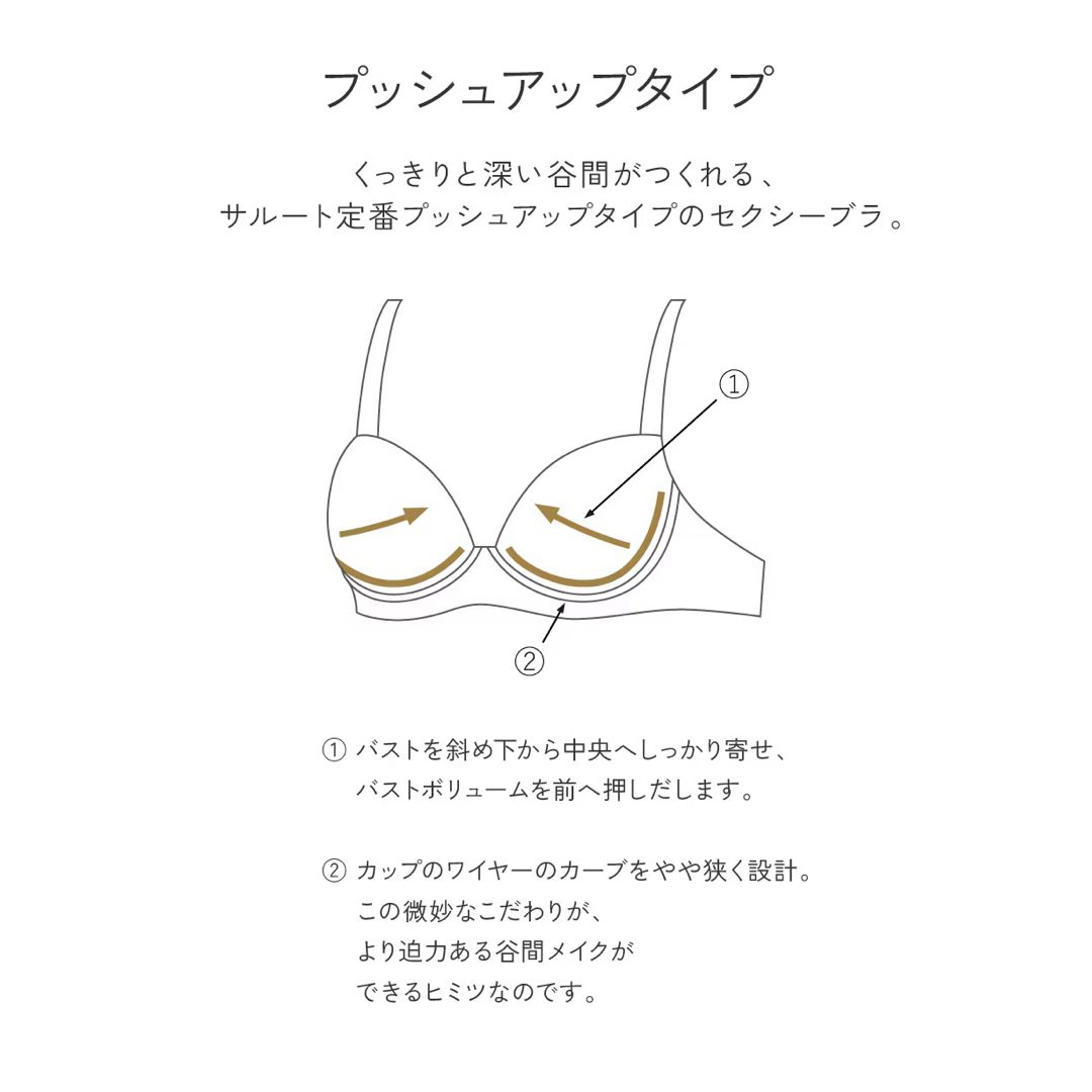 シモンズグランドセール サルート Tバック タンガ P-upブラ 66 TU E70/M ブラジル 下着・アンダーウェア