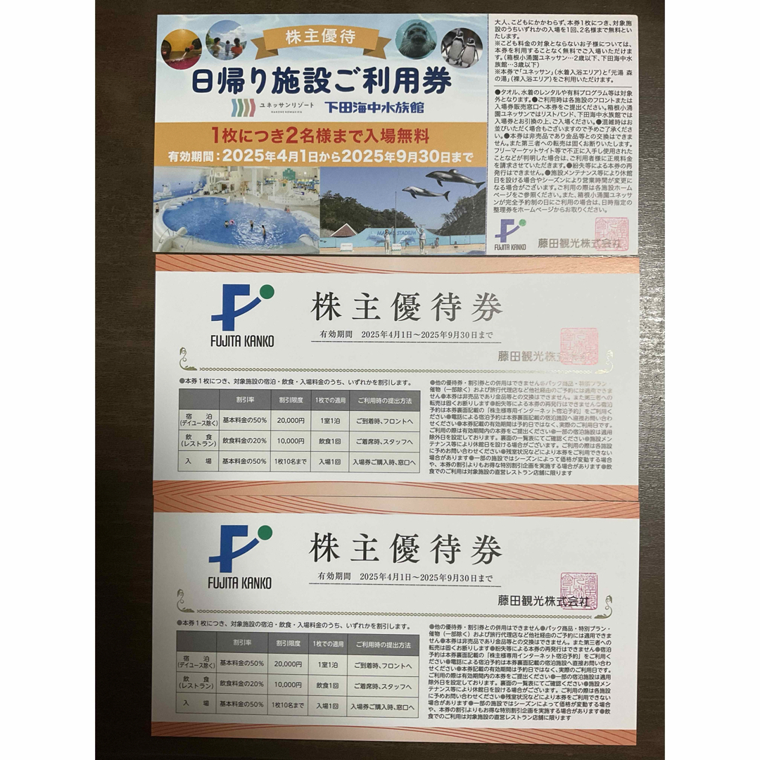 🔵藤田観光 株主優待 セット チケットの施設利用券(遊園地/テーマパーク)の商品写真
