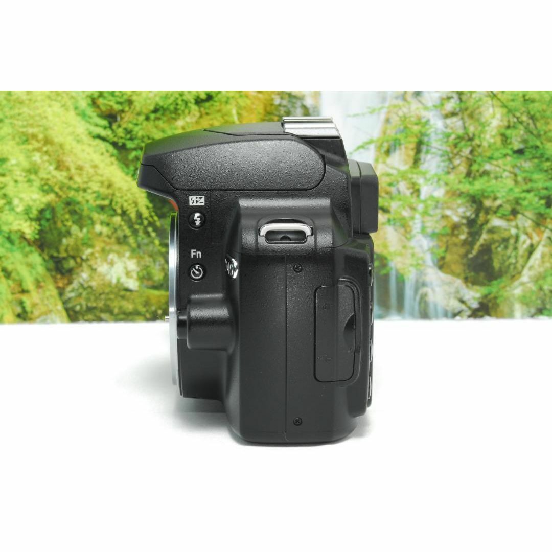 Nikon - ✨コンパクトでお手頃な一眼レフ✨Nikon D40✨色鮮やか Nikon - ✨コンパクトでお手頃な一眼レフ✨Nikon D40✨色鮮やか