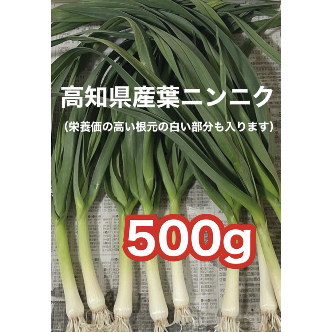 高知県産葉にんにく 葉ニンニク 野菜 産地直送500wmjの通販 by 高知県産葉にんにく 葉ニンニク 野菜 産地直送500wmjの通販 by